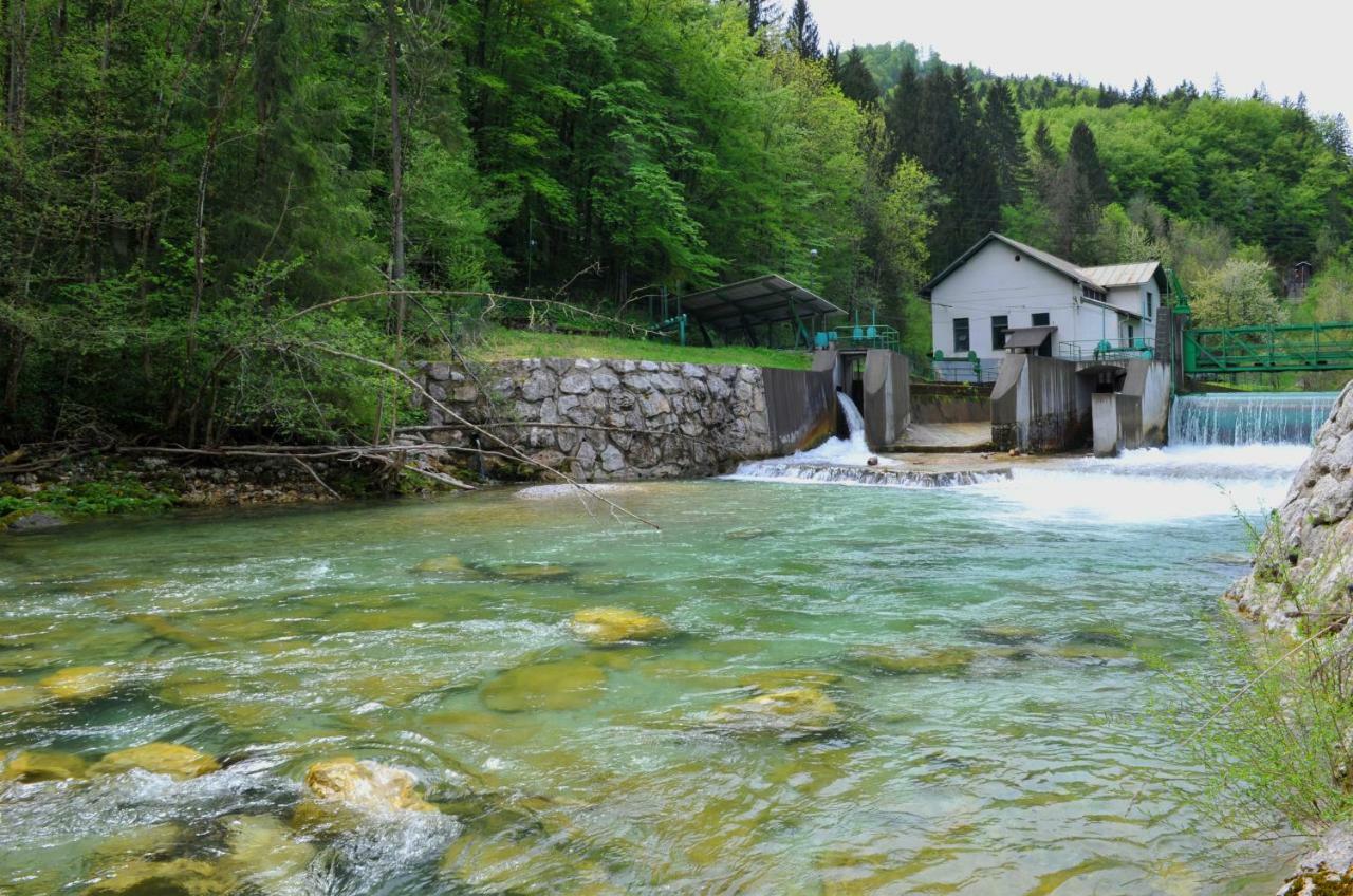 Apartma Marjetica Blejska Dobrava Exteriör bild